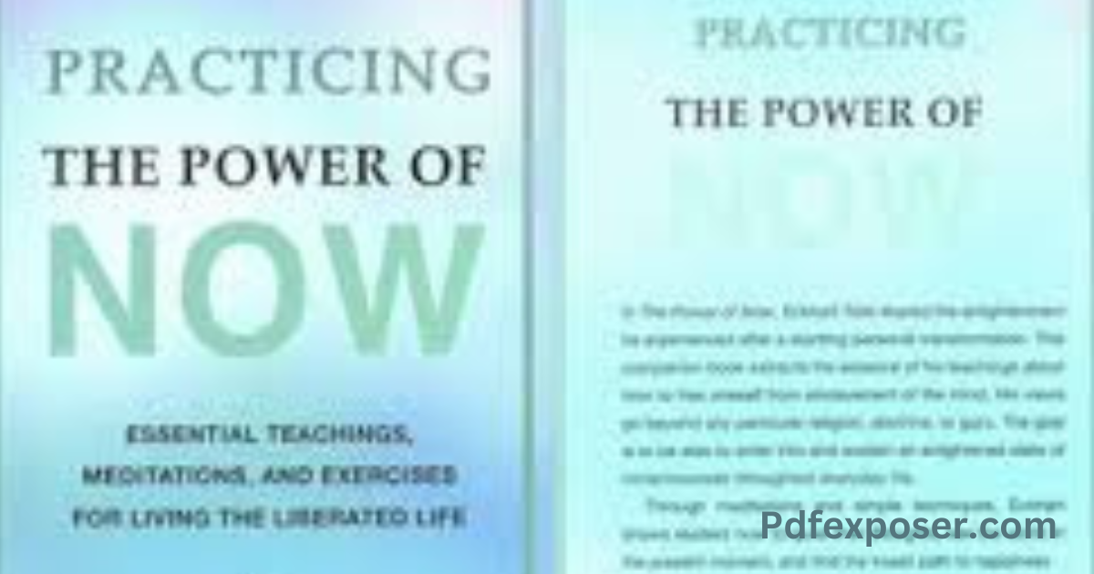 The Power of Now PDF